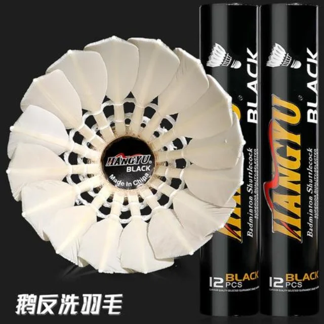 雅思组合重组焕发全新活力